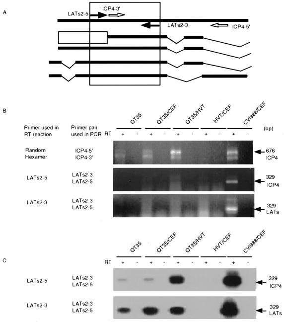 FIG. 6