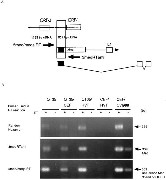 FIG. 7