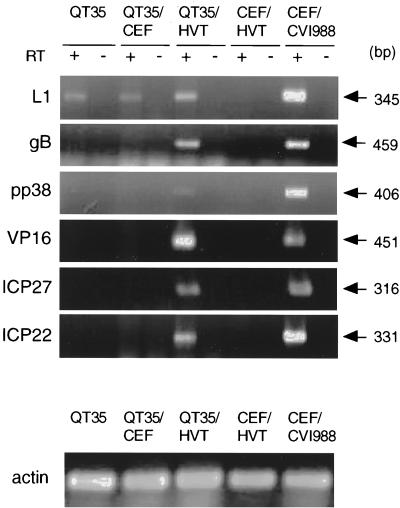 FIG. 5