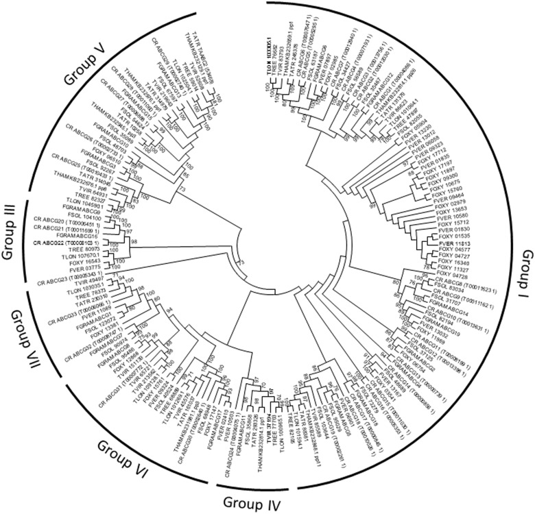 Fig. 6.—