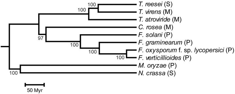 Fig. 2.—