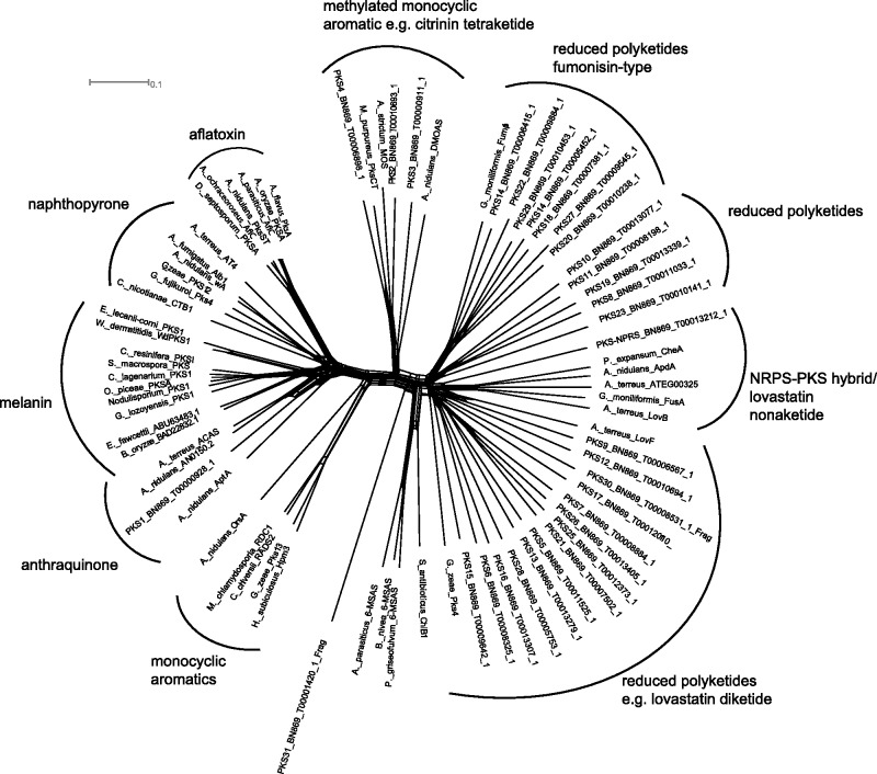 Fig. 3.—