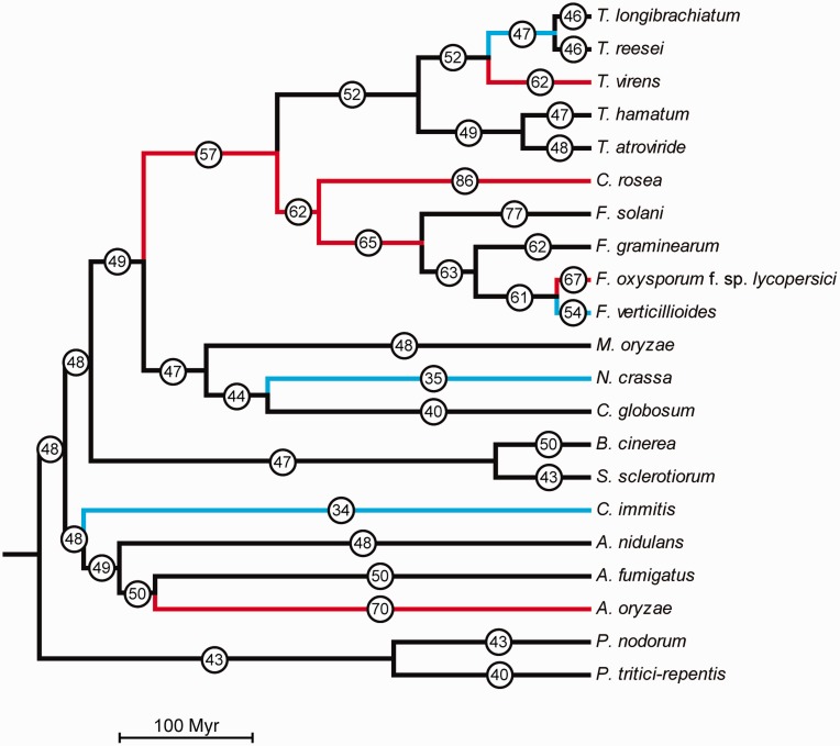 Fig. 4.—