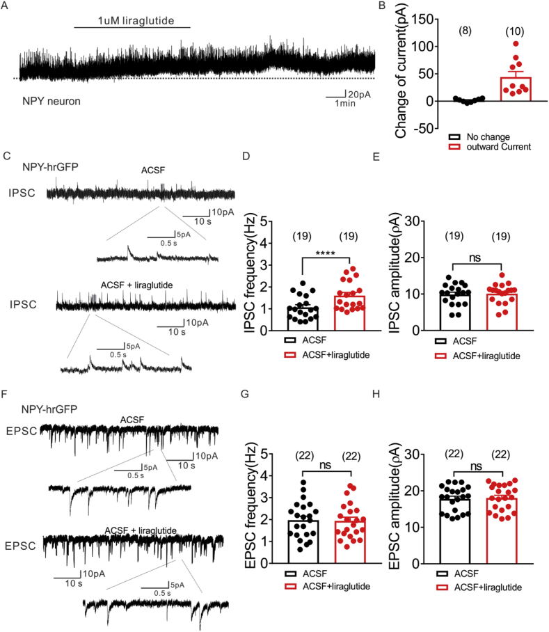 Figure 5