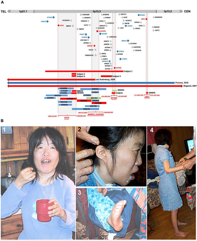 FIGURE 1