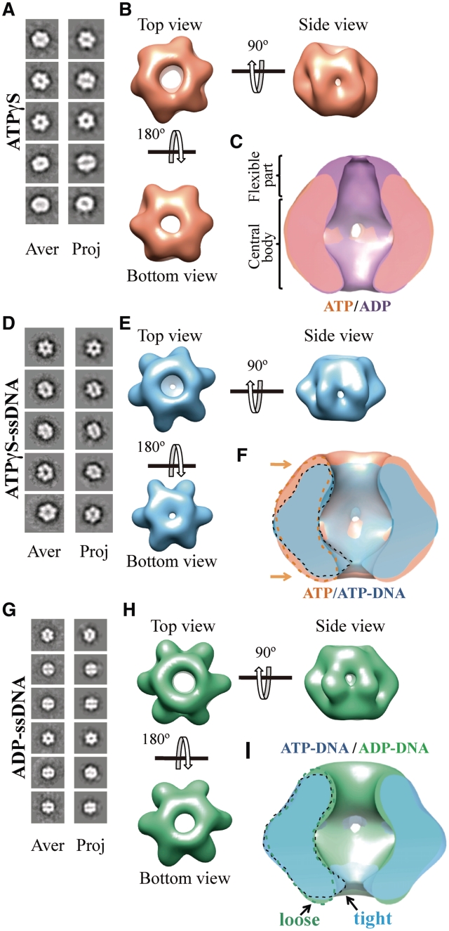 Figure 6.