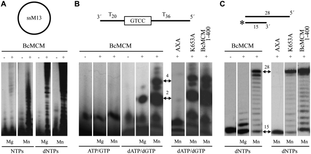 Figure 4.