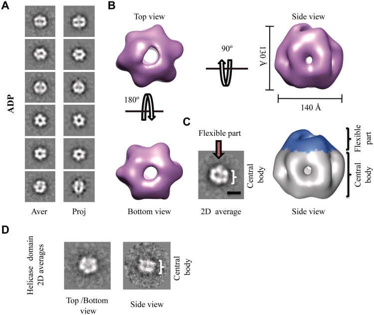 Figure 5.