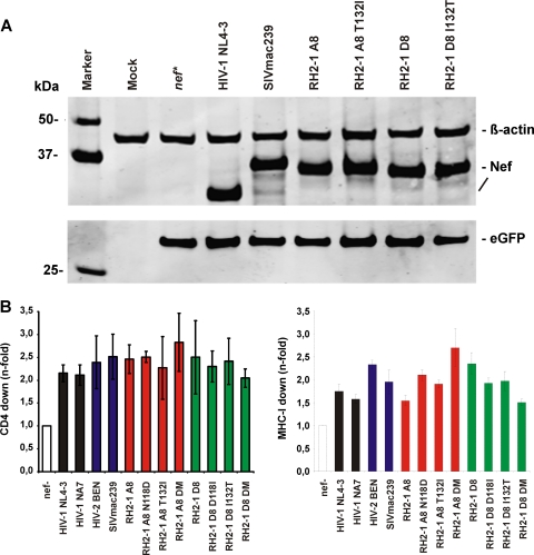 Fig 8