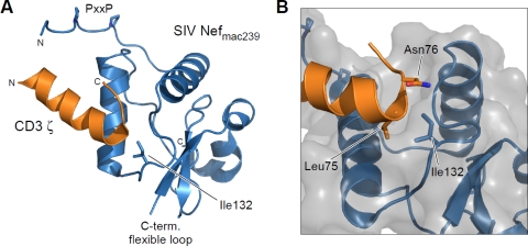 Fig 10