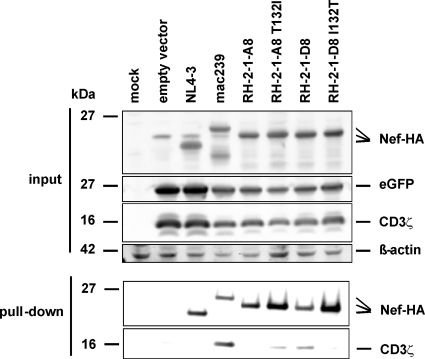 Fig 11