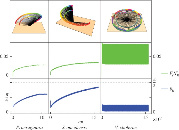 Figure 13.