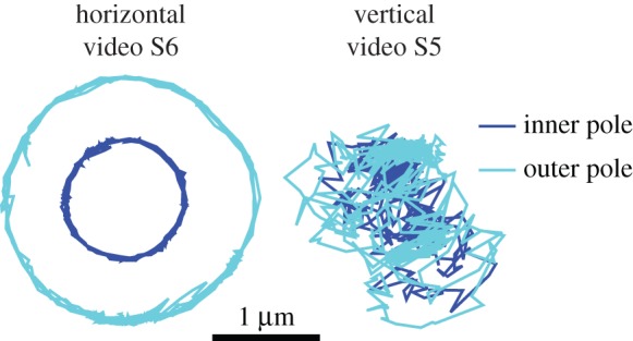 Figure 9.