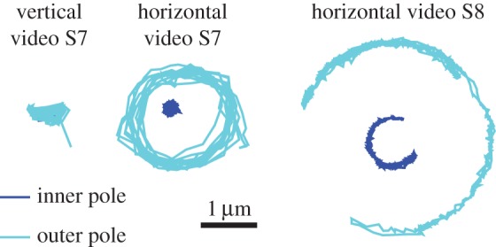 Figure 12.