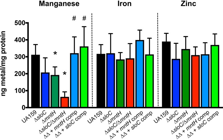 FIG 3