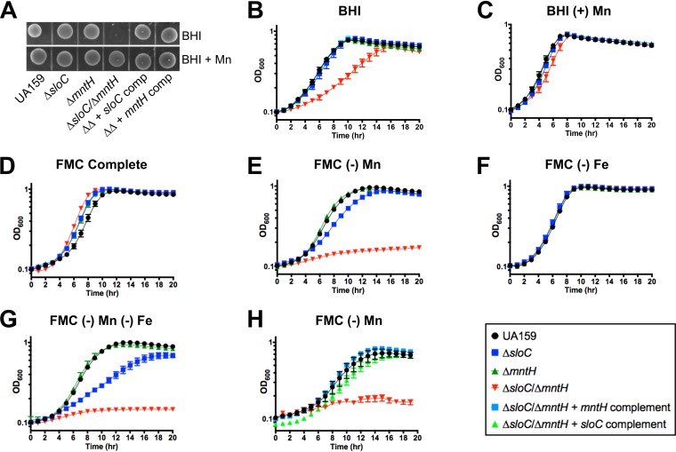 FIG 2