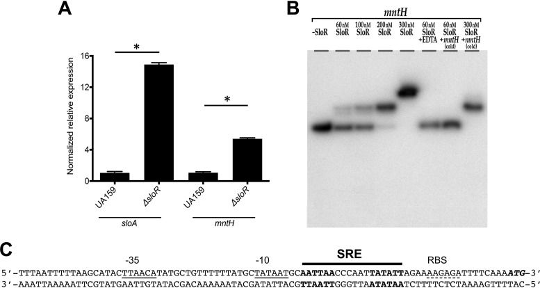 FIG 4