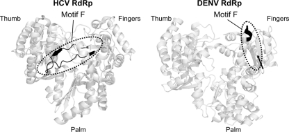 Fig. 8.