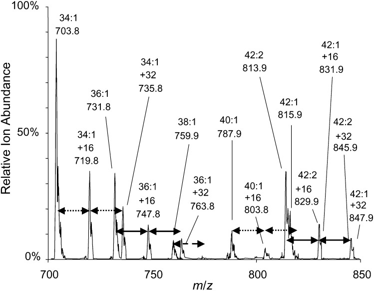 Fig. 4.