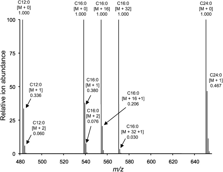 Fig. 3.