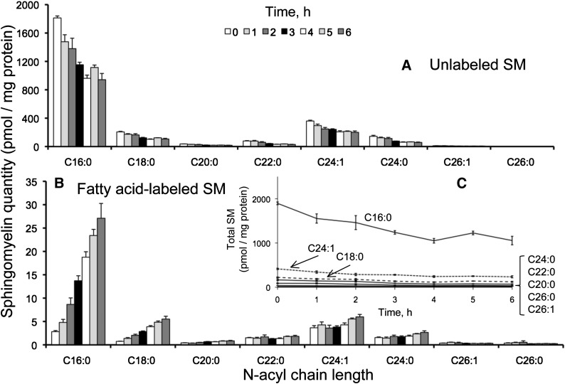 Fig. 11.