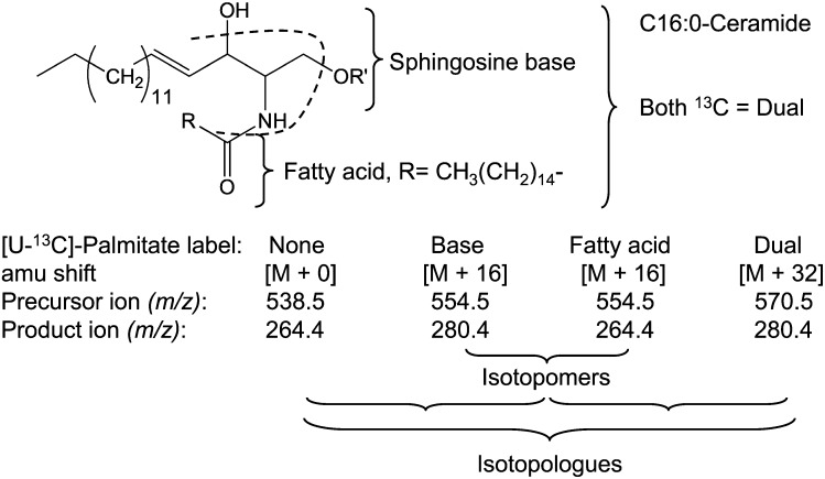 Fig. 2.