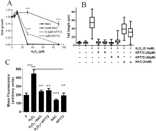 Fig. (4)