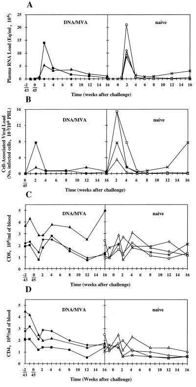 FIG. 4