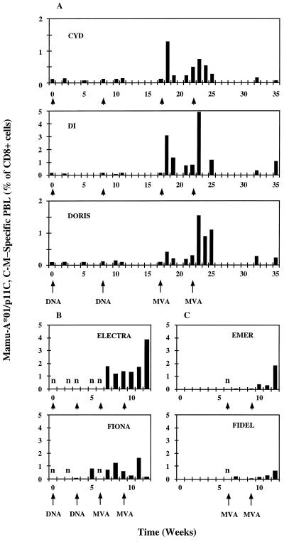 FIG. 3