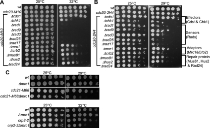 Figure 2.