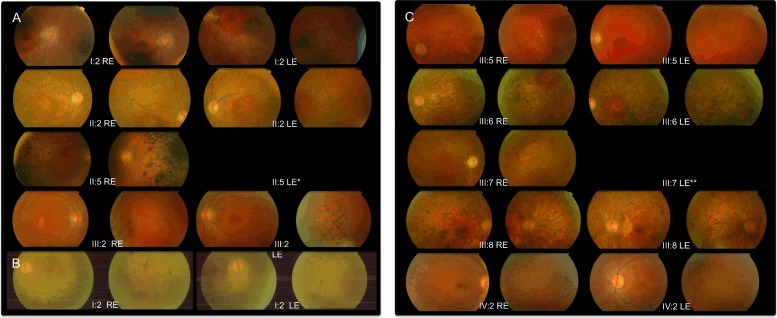 Fig 2