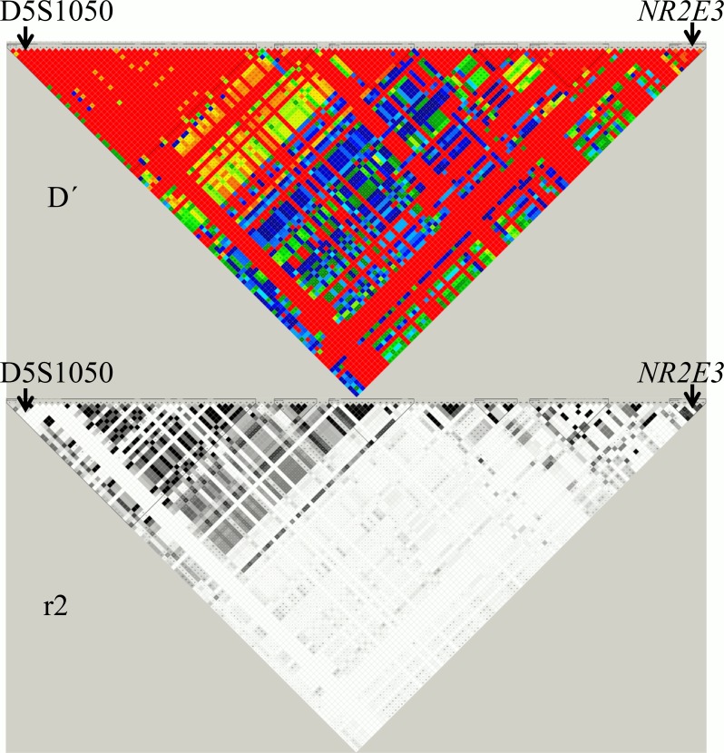 Fig 1