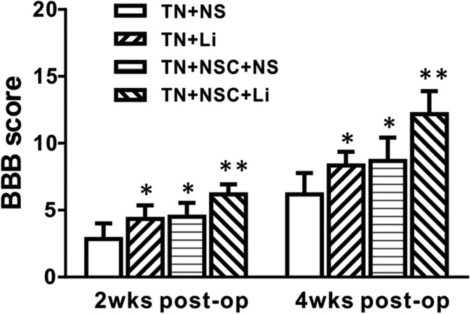 Fig. 4.