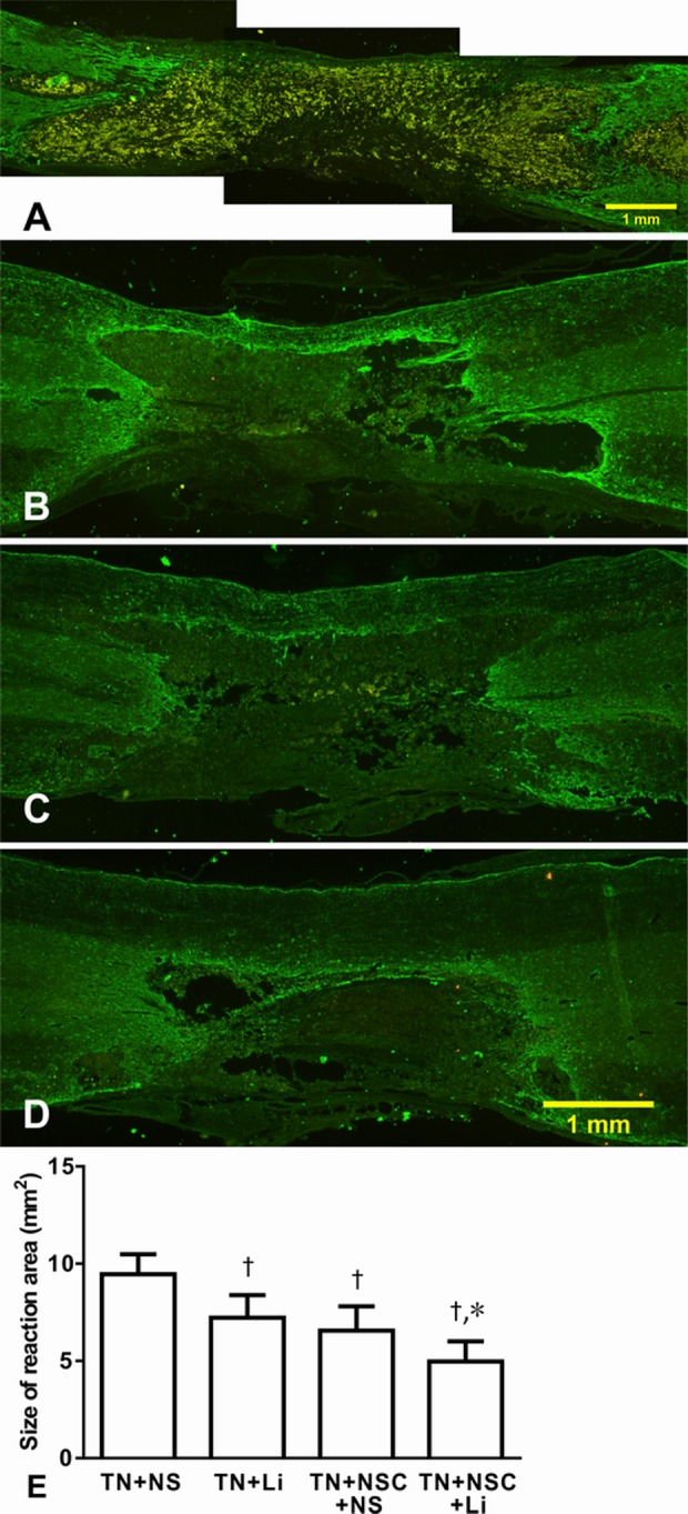 Fig. 9.