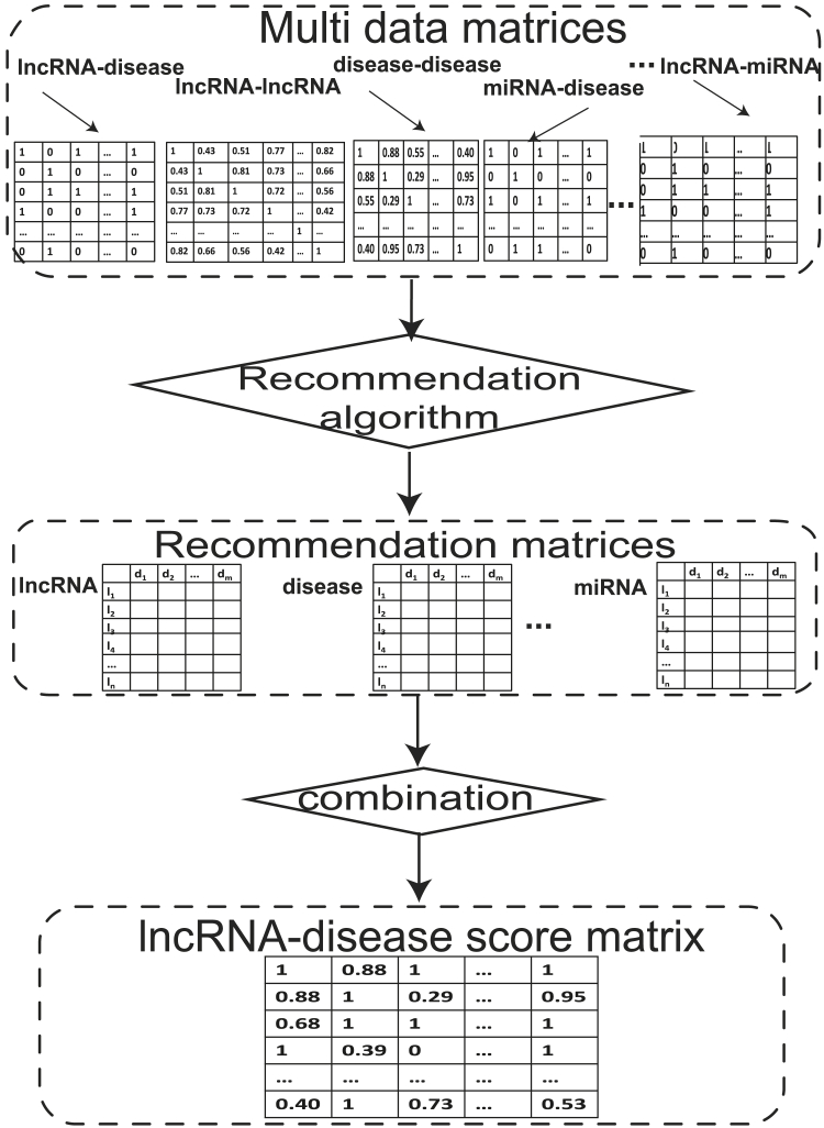 Figure 3