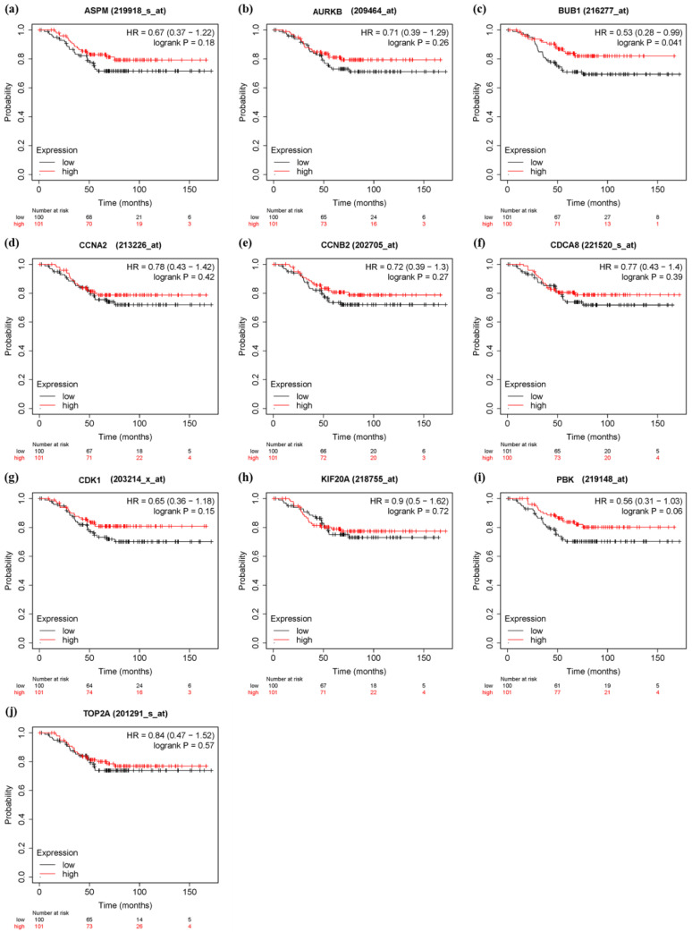 Figure 10