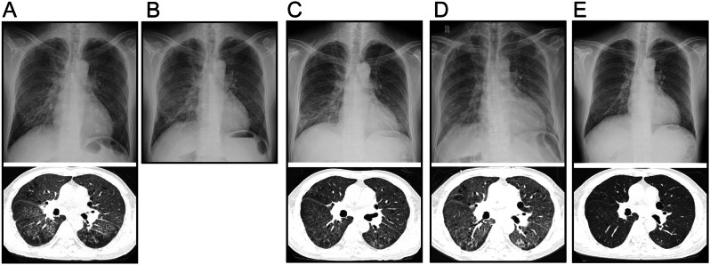 Fig. 2