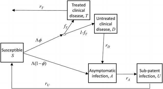 Fig. 1