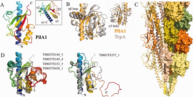 Figure 9