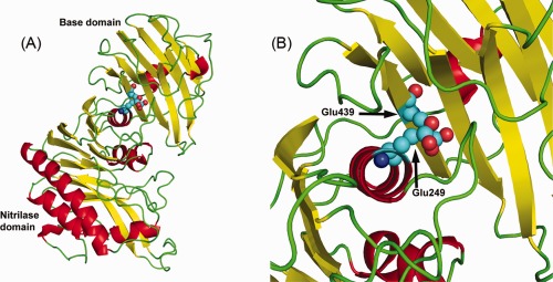 Figure 7