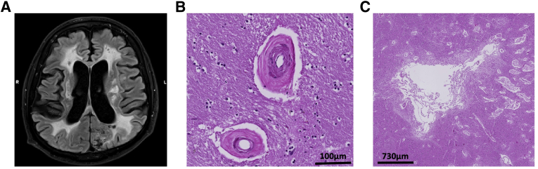 Figure 2