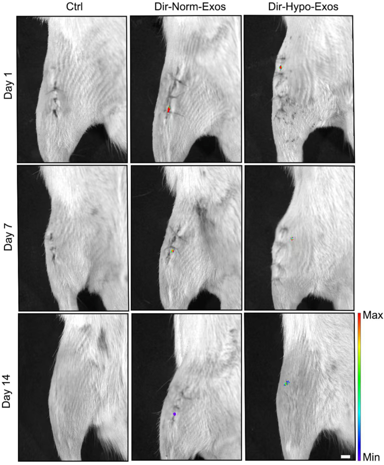 Fig. 4