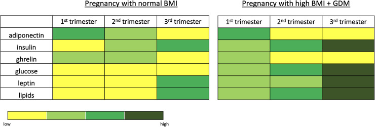 Figure 1