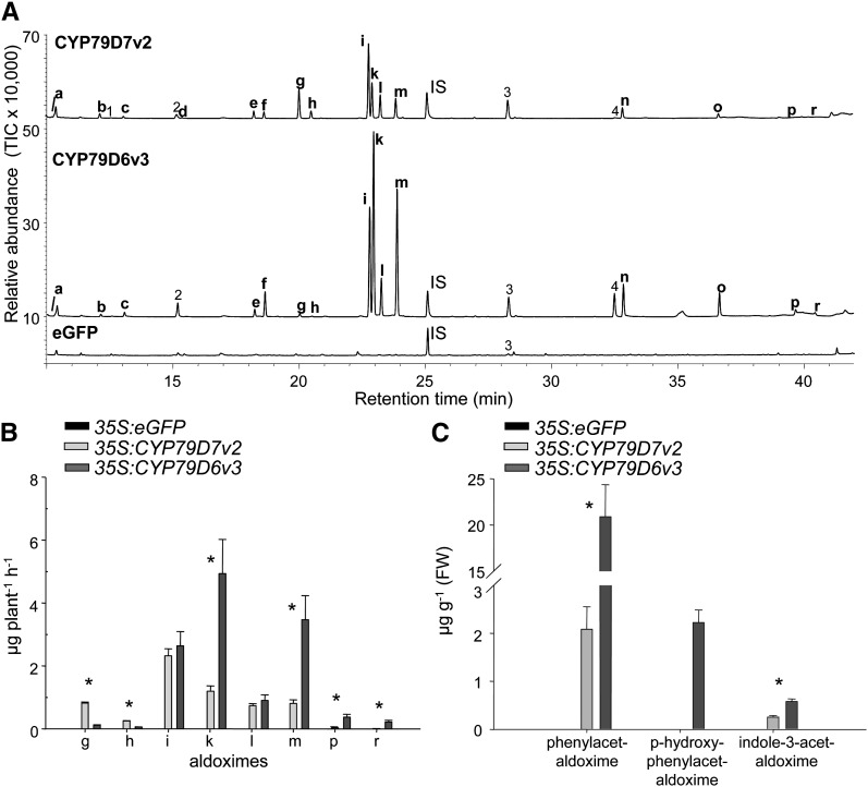 Figure 4.