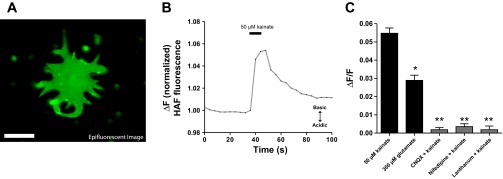 Fig. 5.