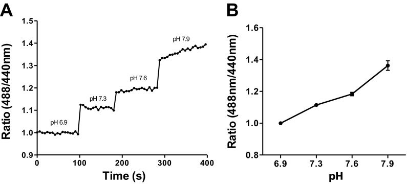 Fig. 3.