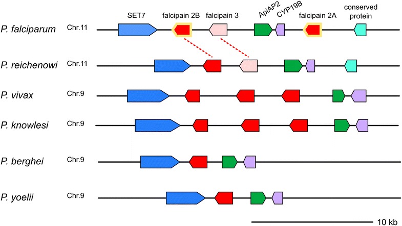 Fig. 4