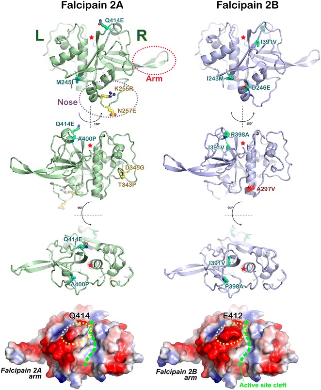 Fig. 7