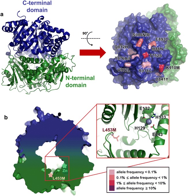 Fig. 8