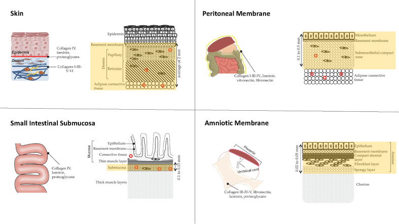 Figure 2.